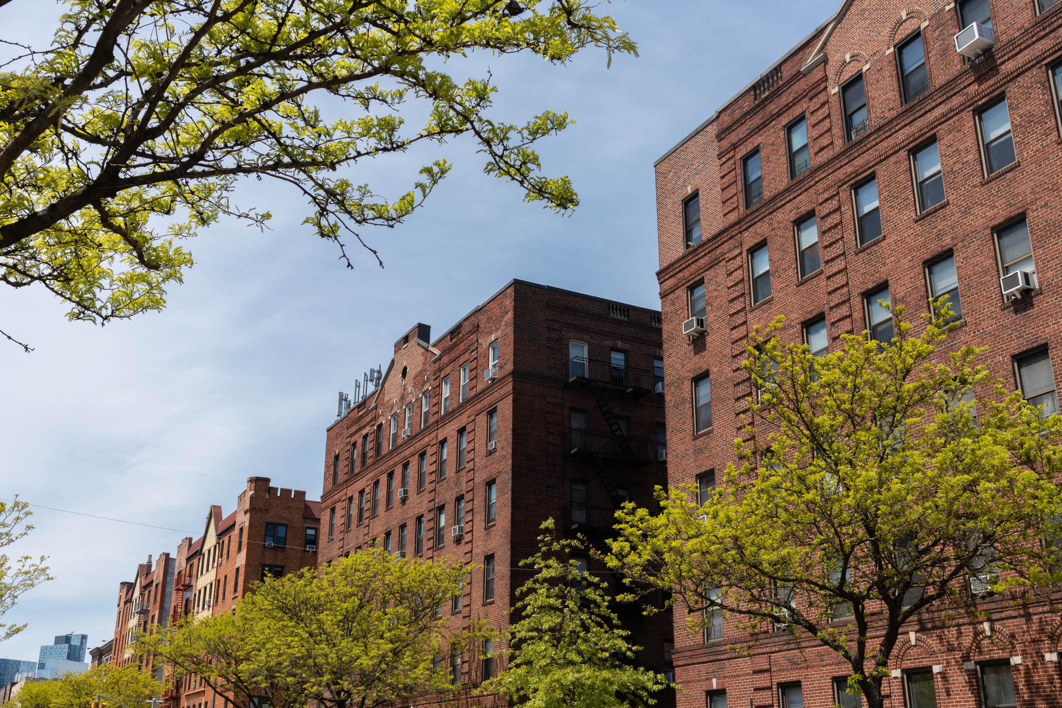 Navigating Multiple Offers in Queens This Summer