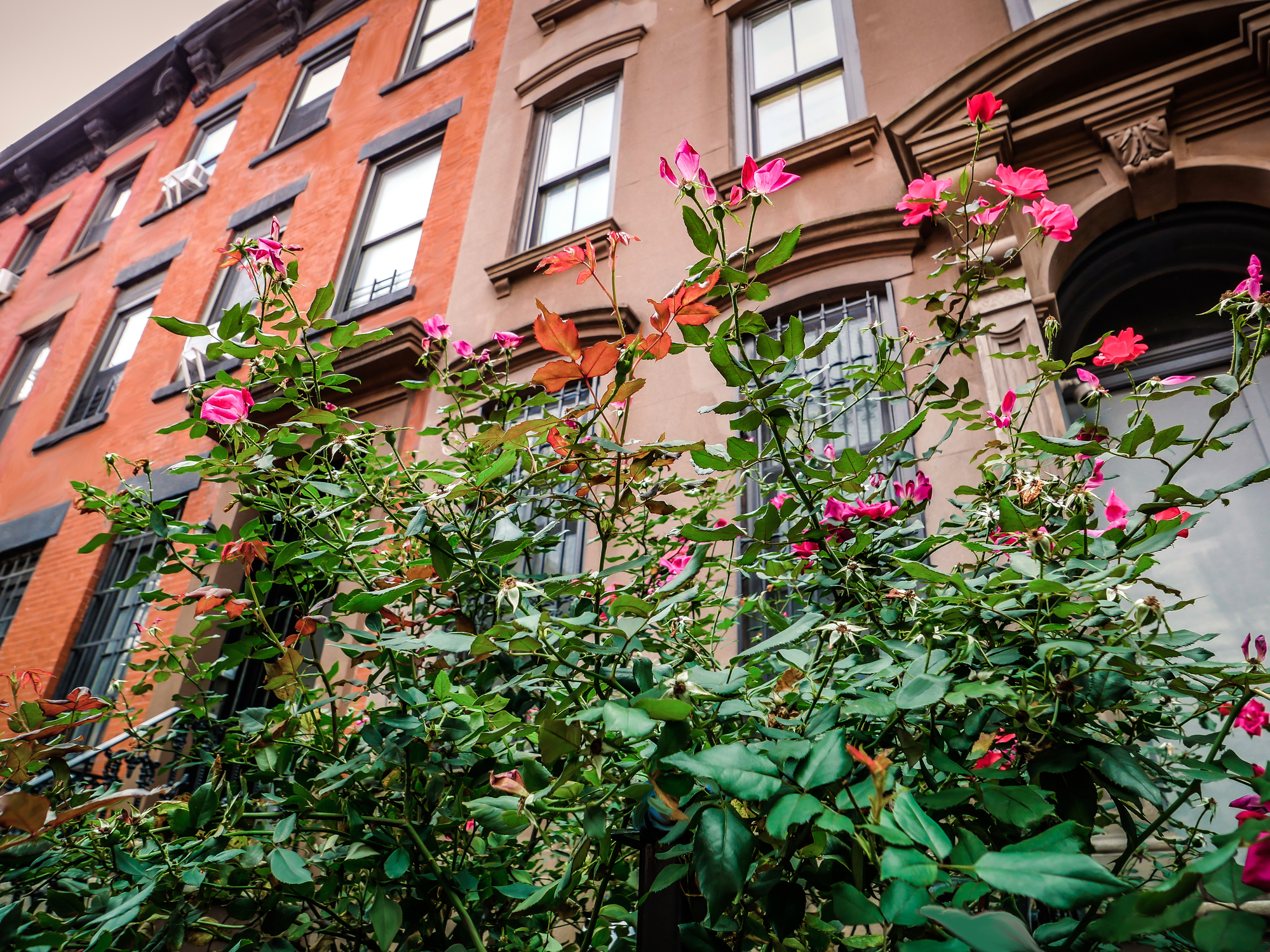 Spring Lifestyle Across Long Island’s North Shore, Brooklyn, and Queens