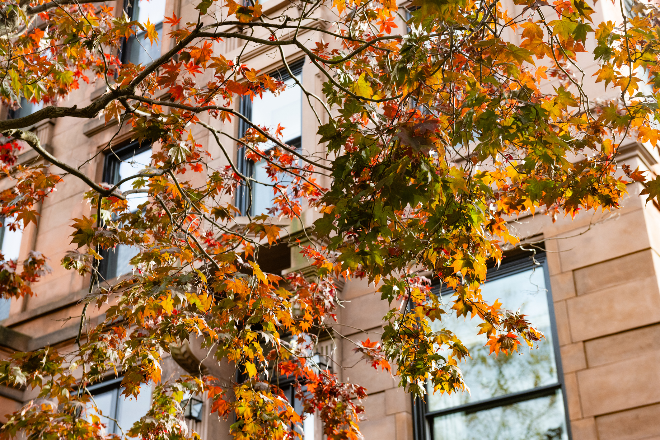 What Buyers Are Looking for This Fall: Home Features Trending Across Long Island, Brooklyn, Queens & the Hamptons